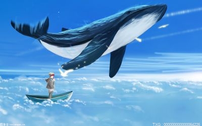 可可托海的牧羊人歌词?可可托海的牧羊人歌词是什么？